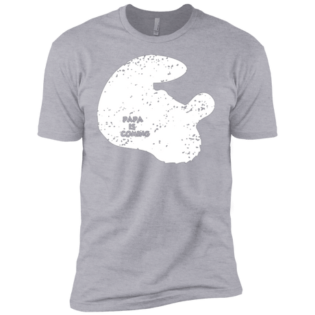T-Shirts Heather Grey / YXS Papa Is Coming Boys Premium T-Shirt