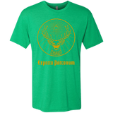 T-Shirts Envy / Small Patronumeister House Men's Triblend T-Shirt