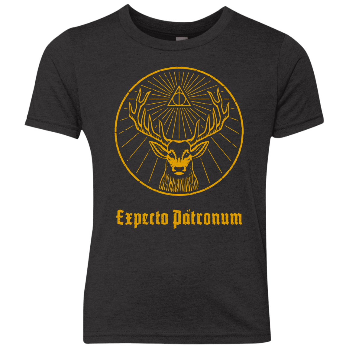 T-Shirts Vintage Black / YXS Patronumeister House Youth Triblend T-Shirt