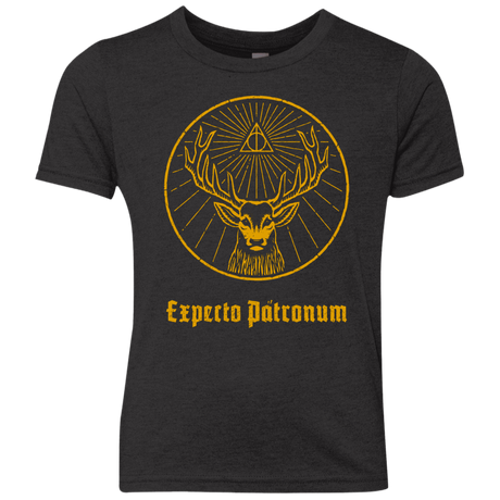 T-Shirts Vintage Black / YXS Patronumeister House Youth Triblend T-Shirt