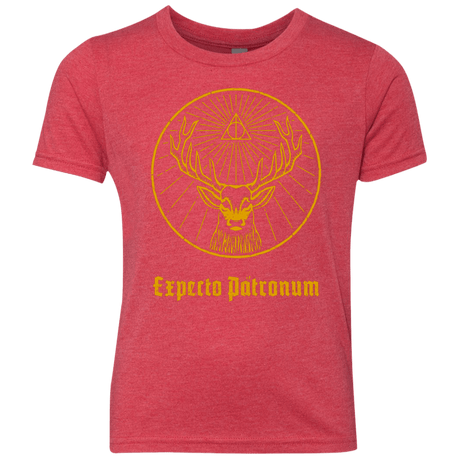 T-Shirts Vintage Red / YXS Patronumeister House Youth Triblend T-Shirt