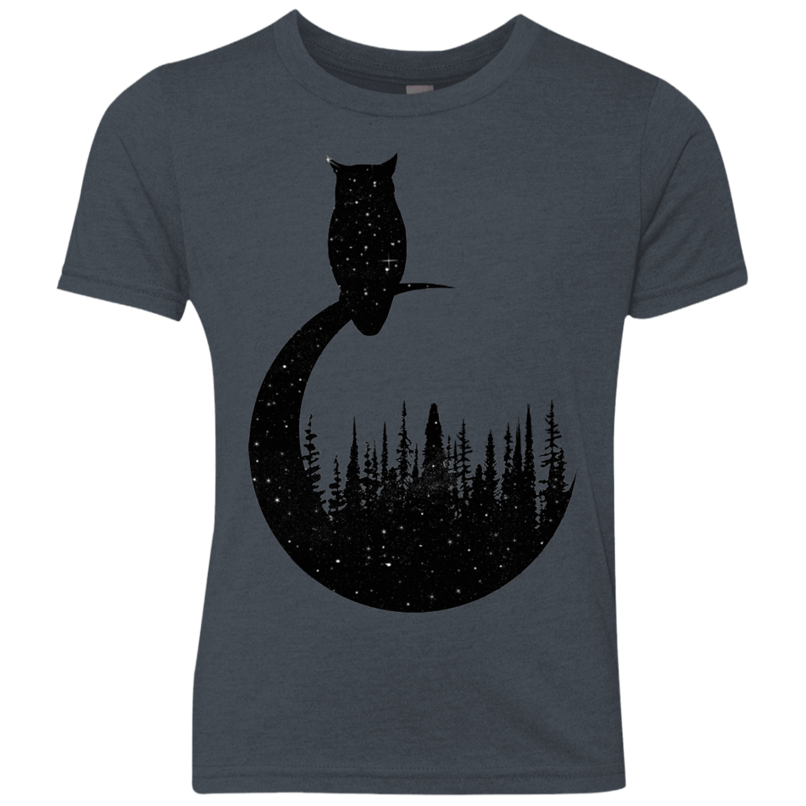 Perched Owl Youth Triblend T-Shirt