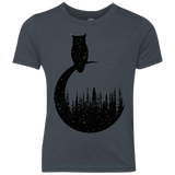 Perched Owl Youth Triblend T-Shirt