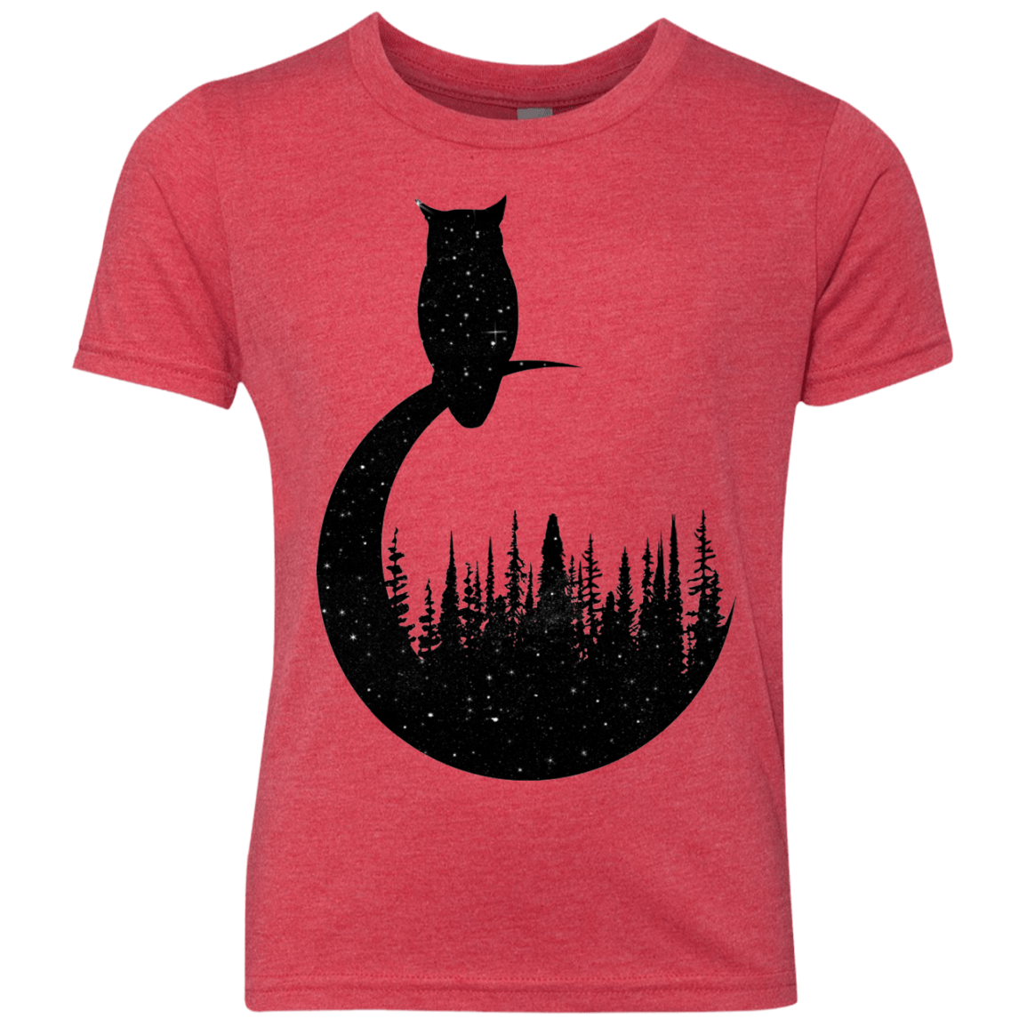 Perched Owl Youth Triblend T-Shirt