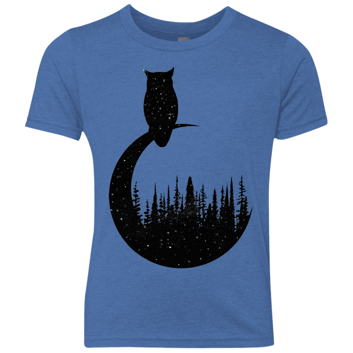 Perched Owl Youth Triblend T-Shirt
