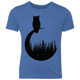 Perched Owl Youth Triblend T-Shirt