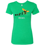 T-Shirts Envy / Small Phoenix Evolution Women's Triblend T-Shirt