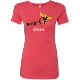 Phoenix Evolution Women's Triblend T-Shirt