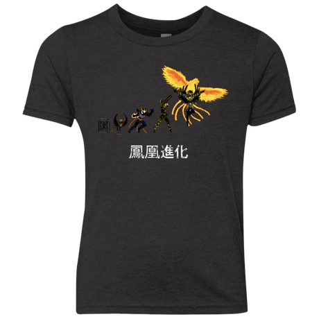 T-Shirts Vintage Black / YXS Phoenix Evolution Youth Triblend T-Shirt