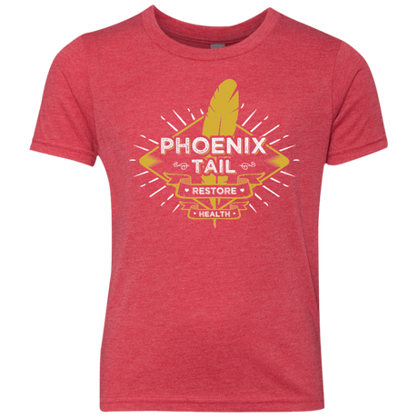 Phoenix Tail Youth Triblend T-Shirt