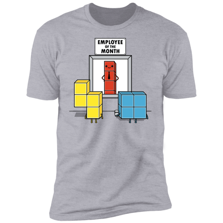 T-Shirts Heather Grey / S Piece Of The Month Men's Premium T-Shirt
