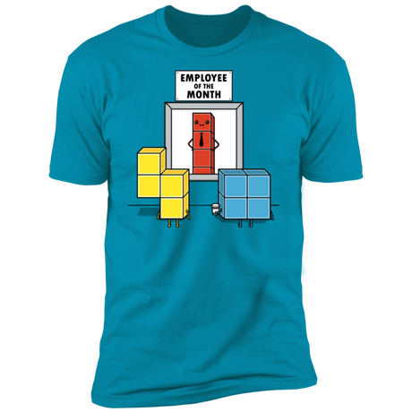 T-Shirts Turquoise / S Piece Of The Month Men's Premium T-Shirt