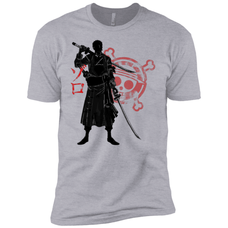 T-Shirts Heather Grey / YXS Pirate Hunter (2) Boys Premium T-Shirt