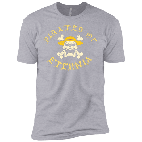 T-Shirts Heather Grey / YXS Pirates of Eternia Boys Premium T-Shirt
