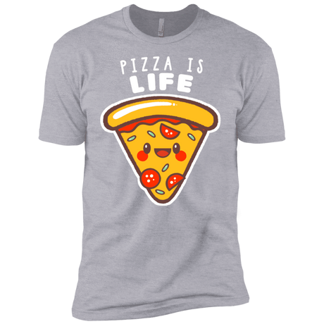 T-Shirts Heather Grey / YXS Pizza is Life Boys Premium T-Shirt