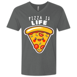 T-Shirts Heavy Metal / X-Small Pizza is Life Men's Premium V-Neck