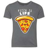 T-Shirts Premium Heather / YXS Pizza is Life Youth Triblend T-Shirt