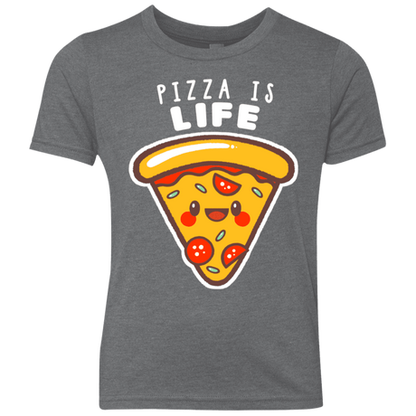 T-Shirts Premium Heather / YXS Pizza is Life Youth Triblend T-Shirt