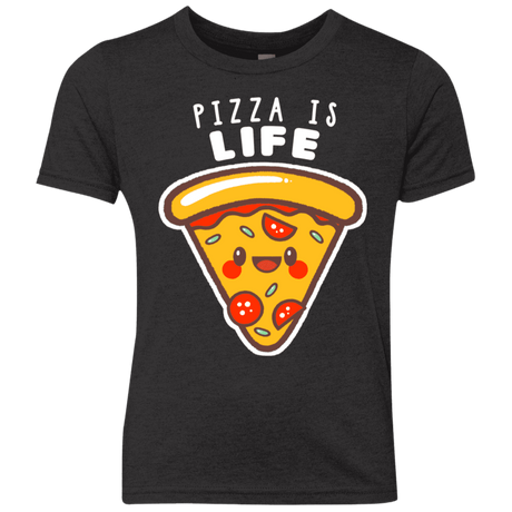 T-Shirts Vintage Black / YXS Pizza is Life Youth Triblend T-Shirt