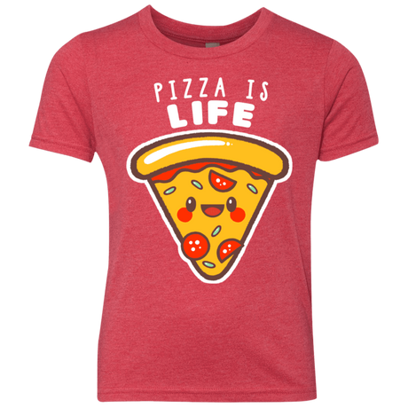 T-Shirts Vintage Red / YXS Pizza is Life Youth Triblend T-Shirt
