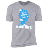 T-Shirts Heather Grey / YXS Places Youll See Boys Premium T-Shirt