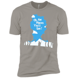 T-Shirts Light Grey / YXS Places Youll See Boys Premium T-Shirt