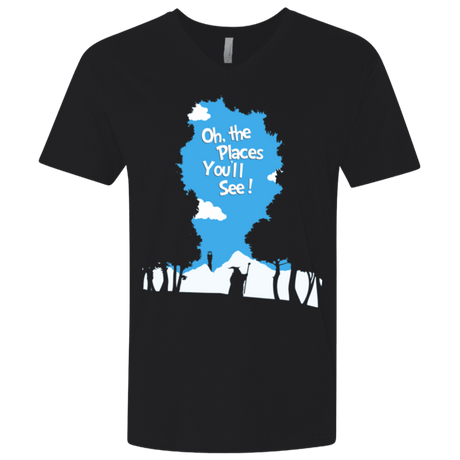 T-Shirts Black / X-Small Places Youll See Men's Premium V-Neck