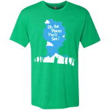 T-Shirts Envy / Small Places Youll See Men's Triblend T-Shirt