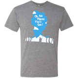 T-Shirts Premium Heather / Small Places Youll See Men's Triblend T-Shirt