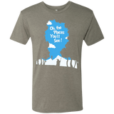 T-Shirts Venetian Grey / Small Places Youll See Men's Triblend T-Shirt