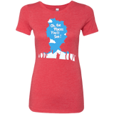T-Shirts Vintage Red / Small Places Youll See Women's Triblend T-Shirt