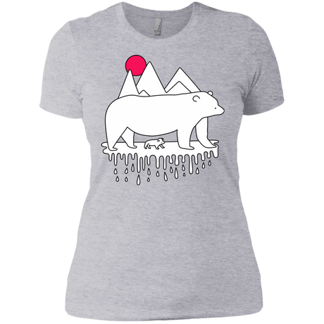 T-Shirts Heather Grey / X-Small Polar Bear Family Women's Premium T-Shirt