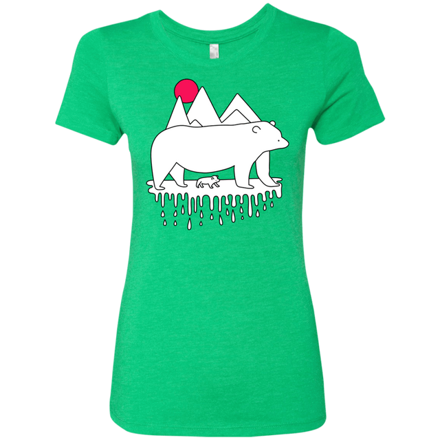 T-Shirts Envy / S Polar Bear Family Women's Triblend T-Shirt