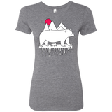 T-Shirts Premium Heather / S Polar Bear Family Women's Triblend T-Shirt