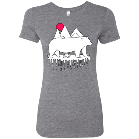 T-Shirts Premium Heather / S Polar Bear Family Women's Triblend T-Shirt