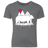 Polar Bear Family Youth Triblend T-Shirt