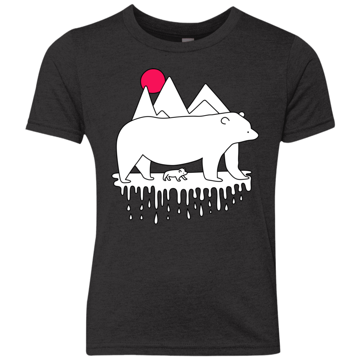 Polar Bear Family Youth Triblend T-Shirt