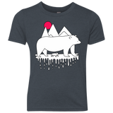 Polar Bear Family Youth Triblend T-Shirt
