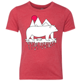 Polar Bear Family Youth Triblend T-Shirt