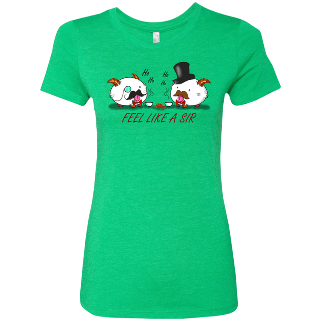 T-Shirts Envy / Small Poros like a sir Women's Triblend T-Shirt