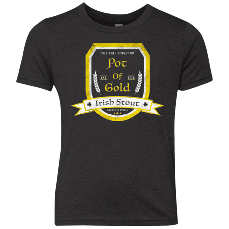 T-Shirts Vintage Black / YXS Pot of Gold Irish Stout Youth Triblend T-Shirt