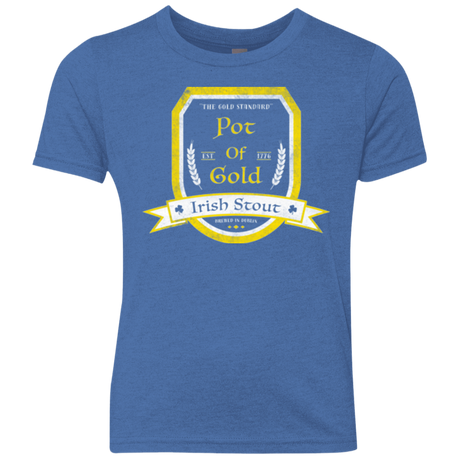 T-Shirts Vintage Royal / YXS Pot of Gold Irish Stout Youth Triblend T-Shirt