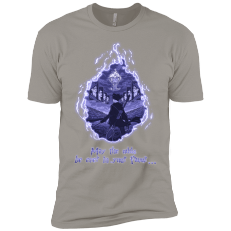 T-Shirts Light Grey / YXS Potter Games Boys Premium T-Shirt