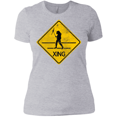 T-Shirts Heather Grey / X-Small Predator Crossing Women's Premium T-Shirt