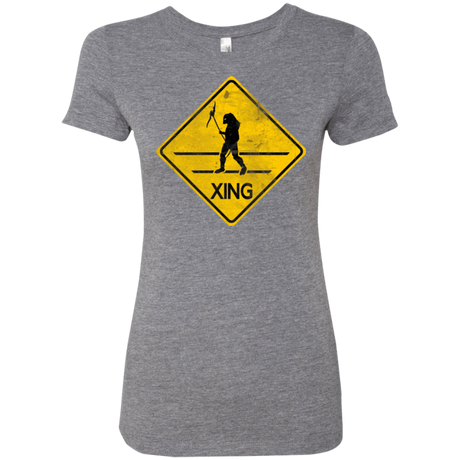 T-Shirts Premium Heather / Small Predator Crossing Women's Triblend T-Shirt