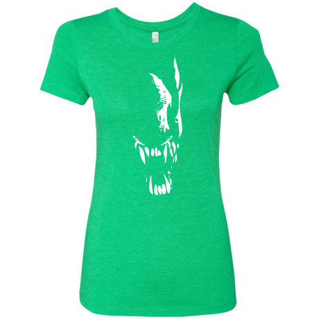 T-Shirts Envy / S Pretty Smile Women's Triblend T-Shirt