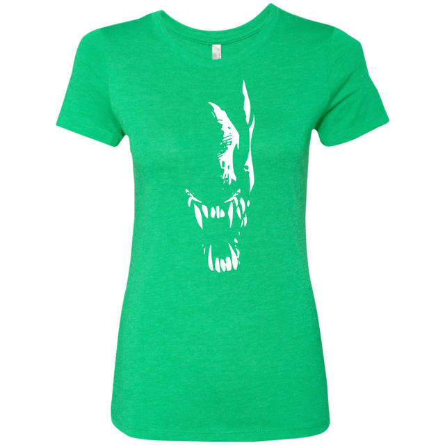 T-Shirts Envy / S Pretty Smile Women's Triblend T-Shirt