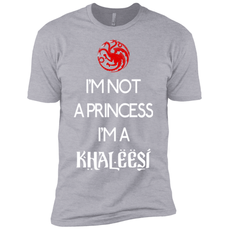 T-Shirts Heather Grey / YXS Princess Khaleesi Boys Premium T-Shirt