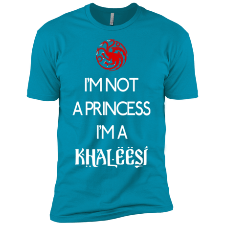 T-Shirts Turquoise / YXS Princess Khaleesi Boys Premium T-Shirt