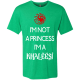 T-Shirts Envy / Small Princess Khaleesi Men's Triblend T-Shirt